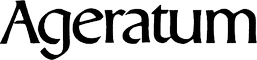 Ageratum