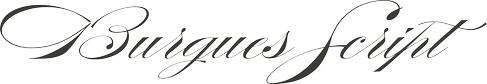 Burgues Script
