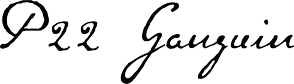 P22 Gauguin