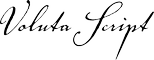 Voluta Script