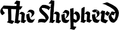 Z Studio 14