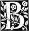 Z Studio 144