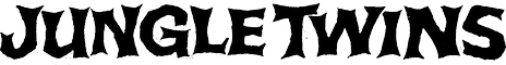 Z Studio 161