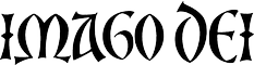 Z Studio 163