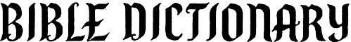 Z Studio 166
