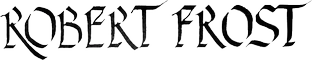 Z Studio 17