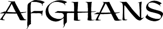 Z Studio 185