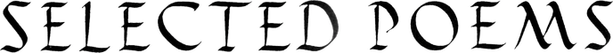 Z Studio 19