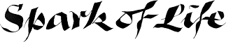 Z Studio 22