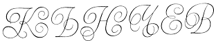 Z Studio 220