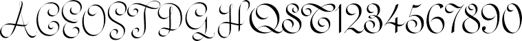 Z Studio 229