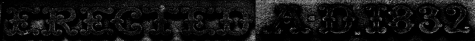 Z Studio 249